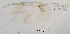  ( - sun77)  @11 [ ] CreativeCommons - Attribution Non-Commercial Share-Alike (2020) Xiaolong Lin College of Life Sciences, Nankai Unviersity