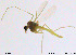  ( - FR13Y10)  @11 [ ] CreativeCommons - Attribution Non-Commercial Share-Alike (2014) NTNU University Museum, Department of Natural History NTNU University Museum, Department of Natural History