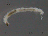 ( - XL434)  @11 [ ] CreativeCommons - Attribution Non-Commercial Share-Alike (2015) NTNU University Museum, Department of Natural History NTNU University Museum, Department of Natural History
