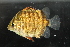  ( - RTNC_030)  @11 [ ] CreativeCommons - Attribution Non-Commercial Share-Alike (2021) NICOLAS CHARPIN Museum National d'Histoire Naturelle, Paris