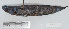  ( - 17964)  @11 [ ] Copyright (2022) Unspecified Museum National d'Histoire Naturelle, Paris