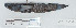  ( - 17966)  @11 [ ] Copyright (2022) Unspecified Museum National d'Histoire Naturelle, Paris