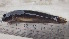  ( - 17972)  @11 [ ] Copyright (2022) Unspecified OCEA Consult