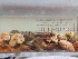  ( - 12585)  @11 [ ] Copyright (2024) Unspecified Museum national d'Histoire naturelle