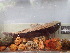  ( - 12726)  @11 [ ] Copyright (2024) Unspecified Museum national d'Histoire naturelle