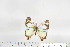  ( - BC-TB6892)  @12 [ ] Copyright (2010) Thierry Bouyer Research Collection of Thierry Bouyer