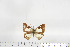  ( - BC-TB6893)  @12 [ ] Copyright (2010) Thierry Bouyer Research Collection of Thierry Bouyer