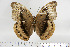  ( - BC-TB6898)  @13 [ ] Copyright (2010) Thierry Bouyer Research Collection of Thierry Bouyer