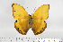  ( - BC-TB6899)  @13 [ ] Copyright (2010) Thierry Bouyer Research Collection of Thierry Bouyer