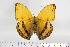 ( - BC-TB6900)  @13 [ ] Copyright (2010) Thierry Bouyer Research Collection of Thierry Bouyer