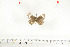  ( - BC-TB6963)  @13 [ ] Copyright (2010) Thierry Bouyer Research Collection of Thierry Bouyer