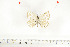  ( - BC-TB6986)  @12 [ ] Copyright (2010) Thierry Bouyer Research Collection of Thierry Bouyer