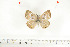  ( - BC-TB6987)  @12 [ ] Copyright (2010) Thierry Bouyer Research Collection of Thierry Bouyer