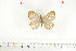  ( - BC-TB6988)  @11 [ ] Copyright (2010) Thierry Bouyer Research Collection of Thierry Bouyer