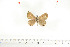  ( - BC-TB6989)  @12 [ ] Copyright (2010) Thierry Bouyer Research Collection of Thierry Bouyer