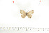  ( - BC-TB6994)  @12 [ ] Copyright (2010) Thierry Bouyer Research Collection of Thierry Bouyer
