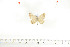  ( - BC-TB6995)  @12 [ ] Copyright (2010) Thierry Bouyer Research Collection of Thierry Bouyer