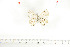  ( - BC-TB6998)  @13 [ ] Copyright (2010) Thierry Bouyer Research Collection of Thierry Bouyer