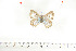  ( - BC-TB6999)  @12 [ ] Copyright (2010) Thierry Bouyer Research Collection of Thierry Bouyer