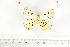  ( - BC-TB7002)  @13 [ ] Copyright (2010) Thierry Bouyer Research Collection of Thierry Bouyer