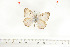  ( - BC-TB7003)  @13 [ ] Copyright (2010) Thierry Bouyer Research Collection of Thierry Bouyer