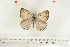  ( - BC-TB7004)  @13 [ ] Copyright (2010) Thierry Bouyer Research Collection of Thierry Bouyer