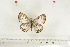  ( - BC-TB7005)  @12 [ ] Copyright (2010) Thierry Bouyer Research Collection of Thierry Bouyer