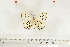  ( - BC-TB7006)  @12 [ ] Copyright (2010) Thierry Bouyer Research Collection of Thierry Bouyer