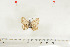  ( - BC-TB7009)  @12 [ ] Copyright (2010) Thierry Bouyer Research Collection of Thierry Bouyer