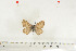  ( - BC-TB7010)  @12 [ ] Copyright (2010) Thierry Bouyer Research Collection of Thierry Bouyer