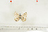  (Lepidochrysops flavisquamosa - BC-TB7011)  @12 [ ] Copyright (2010) Thierry Bouyer Research Collection of Thierry Bouyer