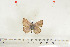  ( - BC-TB7017)  @12 [ ] Copyright (2010) Thierry Bouyer Research Collection of Thierry Bouyer