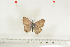  ( - BC-TB7018)  @12 [ ] Copyright (2010) Thierry Bouyer Research Collection of Thierry Bouyer