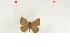  ( - BC-TB7023)  @12 [ ] Copyright (2010) Thierry Bouyer Research Collection of Thierry Bouyer