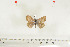  ( - BC-TB7025)  @12 [ ] Copyright (2010) Thierry Bouyer Research Collection of Thierry Bouyer