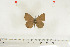  ( - BC-TB7028)  @13 [ ] Copyright (2010) Thierry Bouyer Research Collection of Thierry Bouyer