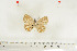  ( - BC-TB7029)  @12 [ ] Copyright (2010) Thierry Bouyer Research Collection of Thierry Bouyer