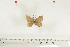  ( - BC-TB7030)  @12 [ ] Copyright (2010) Thierry Bouyer Research Collection of Thierry Bouyer