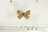  ( - BC-TB7031)  @12 [ ] Copyright (2010) Thierry Bouyer Research Collection of Thierry Bouyer