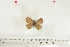  ( - BC-TB7032)  @12 [ ] Copyright (2010) Thierry Bouyer Research Collection of Thierry Bouyer