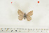  ( - BC-TB7037)  @12 [ ] Copyright (2010) Thierry Bouyer Research Collection of Thierry Bouyer