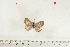 ( - BC-TB7039)  @12 [ ] Copyright (2010) Thierry Bouyer Research Collection of Thierry Bouyer