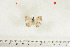  ( - BC-TB7047)  @12 [ ] Copyright (2010) Thierry Bouyer Research Collection of Thierry Bouyer