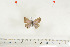  ( - BC-TB7050)  @12 [ ] Copyright (2010) Thierry Bouyer Research Collection of Thierry Bouyer