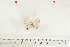  ( - BC-TB7051)  @12 [ ] Copyright (2010) Thierry Bouyer Research Collection of Thierry Bouyer