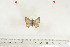  ( - BC-TB7052)  @12 [ ] Copyright (2010) Thierry Bouyer Research Collection of Thierry Bouyer