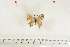  ( - BC-TB7070)  @12 [ ] Copyright (2010) Thierry Bouyer Research Collection of Thierry Bouyer