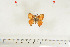  ( - BC-TB7079)  @12 [ ] Copyright (2010) Thierry Bouyer Research Collection of Thierry Bouyer