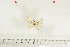  ( - BC-TB7107)  @13 [ ] Copyright (2010) Thierry Bouyer Research Collection of Thierry Bouyer