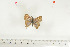  ( - BC-TB7121)  @13 [ ] Copyright (2010) Thierry Bouyer Research Collection of Thierry Bouyer